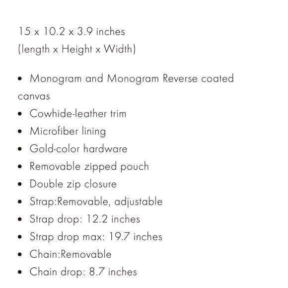 Louis Vuitton Loop Hobo - Picture 5 of 6